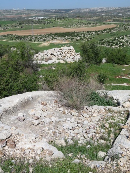 קובץ:גתלידשומרהחורון.jpg