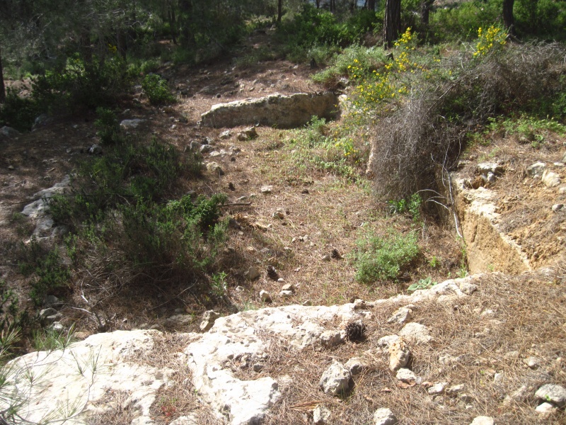 קובץ:גתנסהרים34ב.JPG