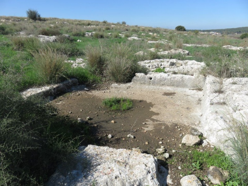 קובץ:גתשרישהמז.jpg