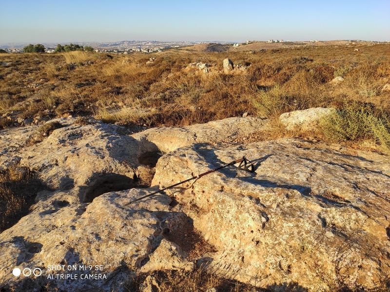 קובץ:גת 4.jpg