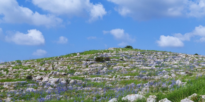 קובץ:הגבעה הכחולה.JPG