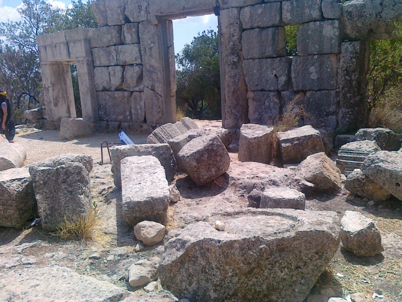 קובץ:הזנחה פושעת(צילם שמואל פישר).jpg