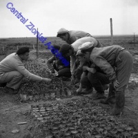 החווה החקלאית אשר הייתה ליד בית הספר שפיר.jpg
