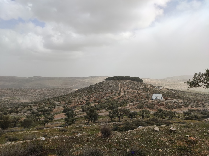 קובץ:המסרק של טייבה.jpg