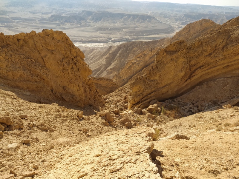 קובץ:הרהורים2.jpg