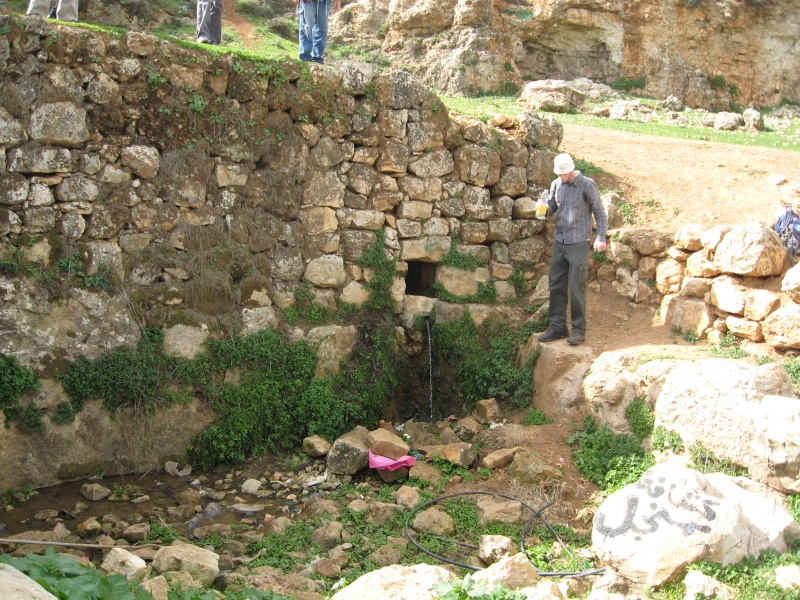 קובץ:ואדי סלעה (8).JPG