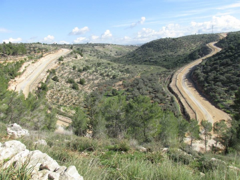 קובץ:ודיעזון.jpg