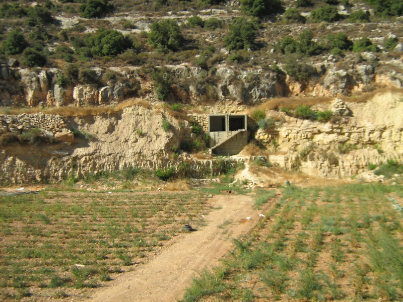 קובץ:וואדי סעביה ואתריו 022.jpg