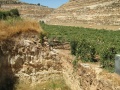 תמונה ממוזערת לגרסה מתאריך 20:02, 25 באוגוסט 2012