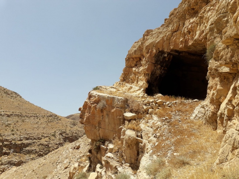 קובץ:זוגמערצפבקרתמך.jpg