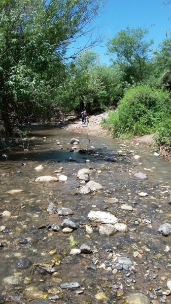 קובץ:זולה בנחל תבור.jpg