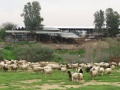 תמונה ממוזערת לגרסה מתאריך 14:27, 22 בפברואר 2017