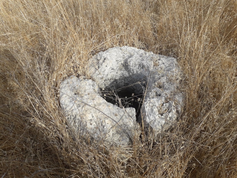 קובץ:חוליהלידבריכה.jpg