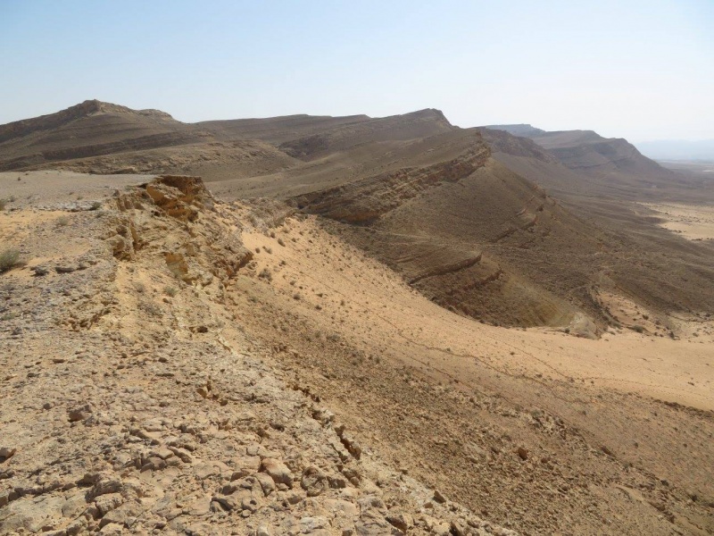 קובץ:חוליתמכתשרמון.jpg