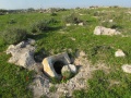 תמונה ממוזערת לגרסה מתאריך 20:08, 18 בפברואר 2023