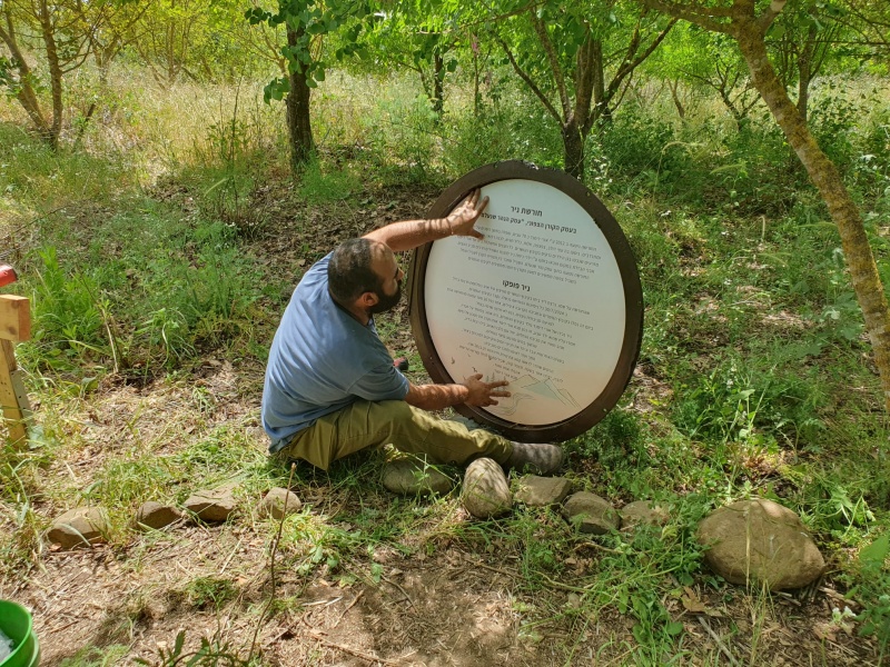 קובץ:חורשת ניר.jpg