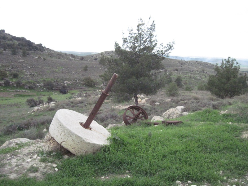 קובץ:חותשמשן.JPG