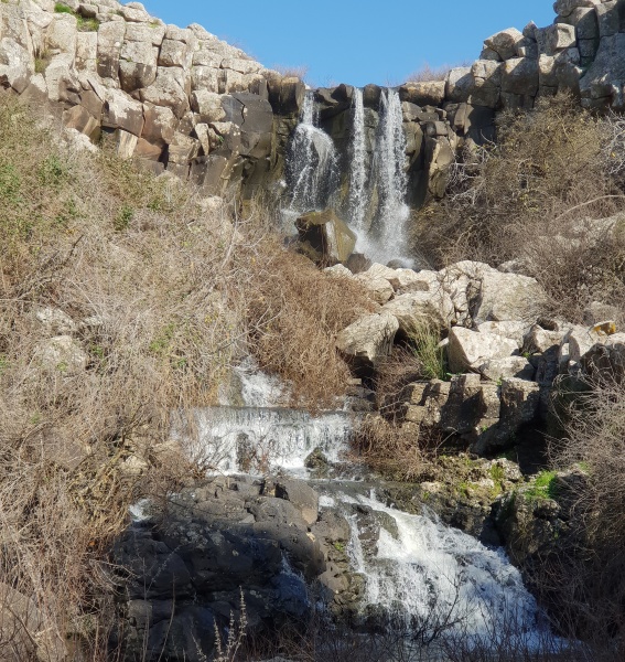 קובץ:חיוויאי1.jpg