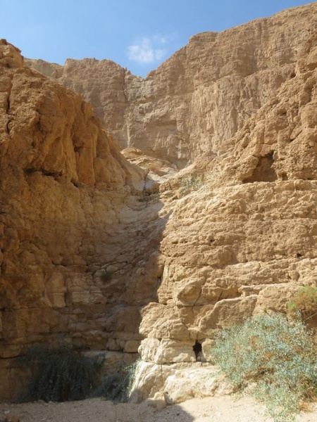 קובץ:חמריתתחתון.jpg