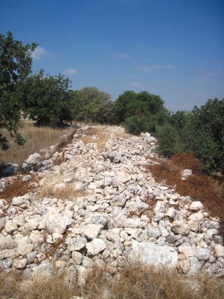 קובץ:חניוןארהבחרבה.JPG