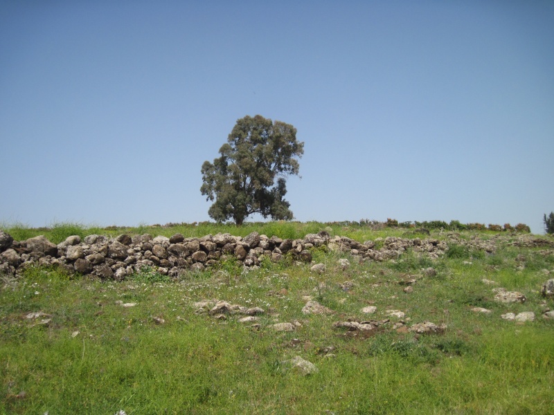 קובץ:חרבהחמםמגדל.JPG