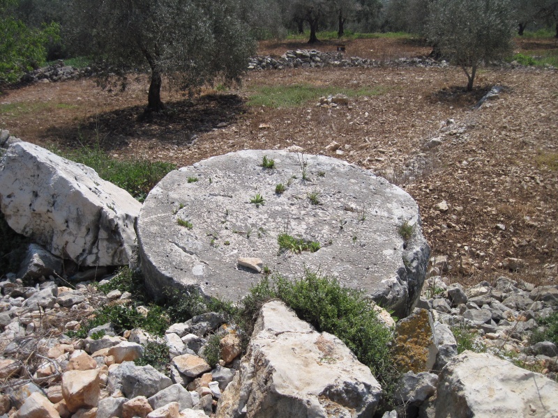 קובץ:חרבתאדליה.JPG