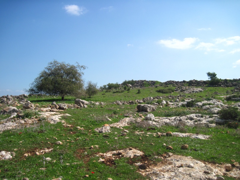 קובץ:חרבתאסעד.JPG