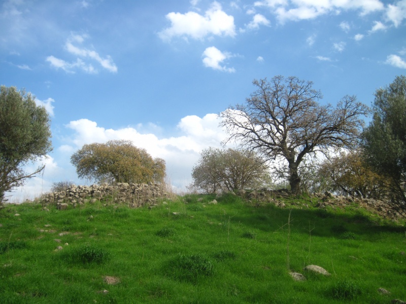 קובץ:חרבתכדורן.JPG