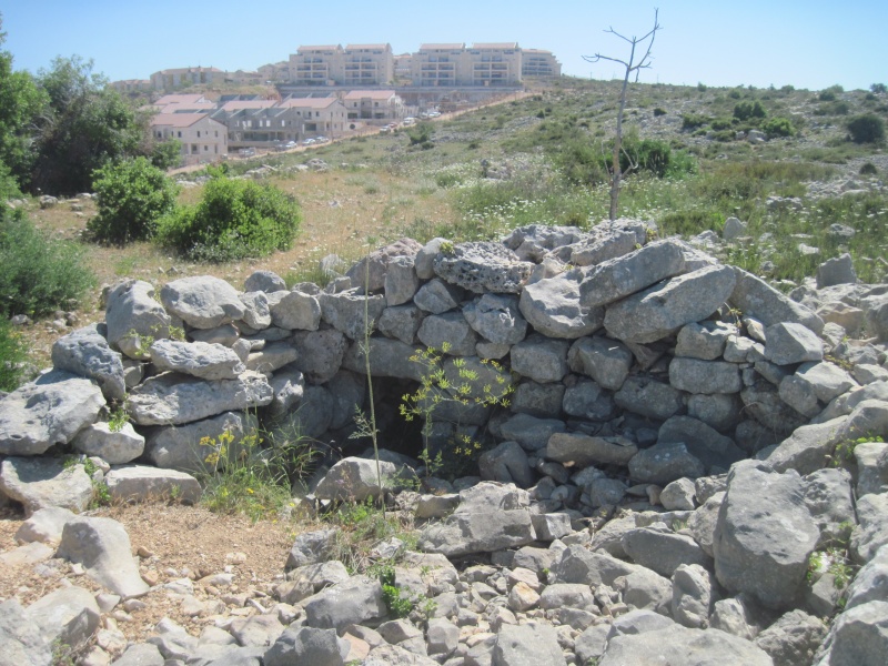 קובץ:חרבתרסקרה.JPG