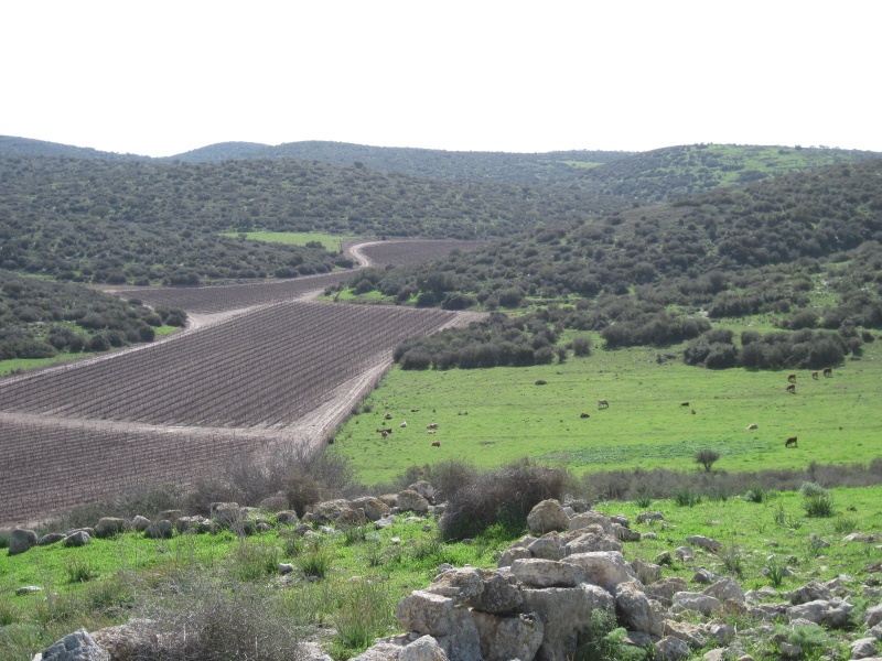 קובץ:חרבתשוק.JPG