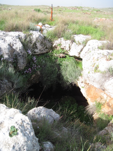 קובץ:חרבתתאנה.JPG