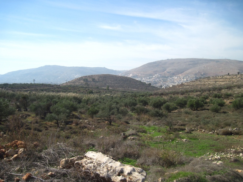 קובץ:טבורהארץ.JPG