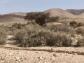 תמונה ממוזערת לגרסה מתאריך 00:50, 8 במאי 2025