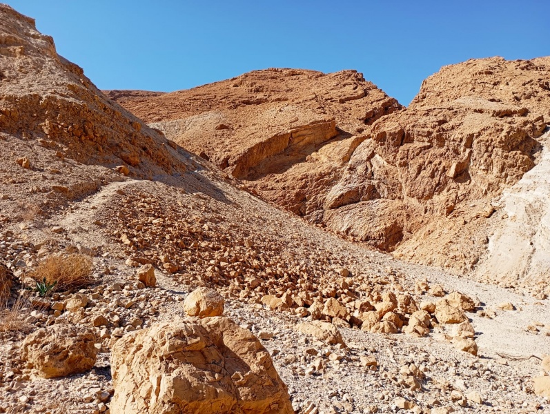 קובץ:יזרח.25.1.jpg