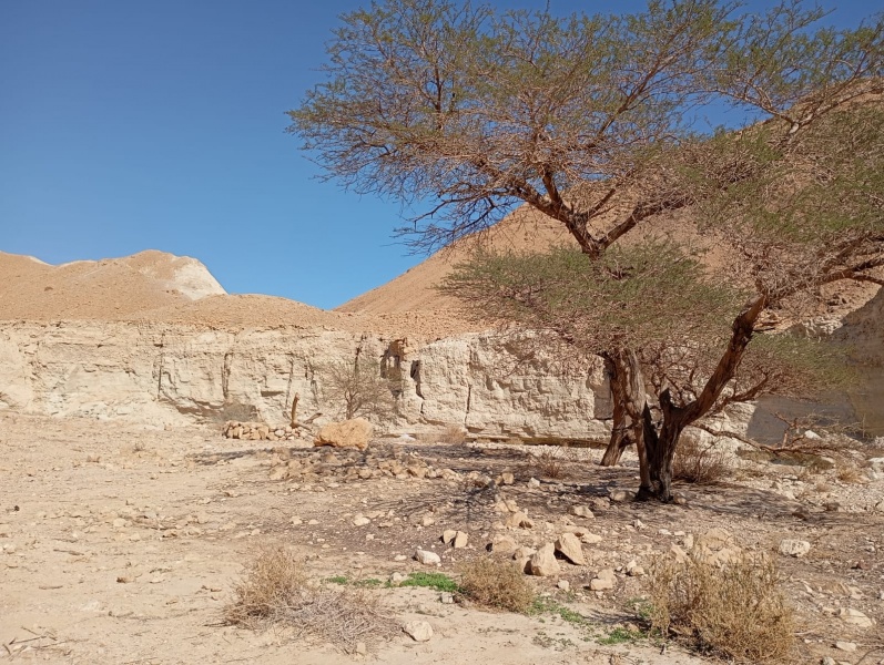 קובץ:יזרח.25.2.jpg