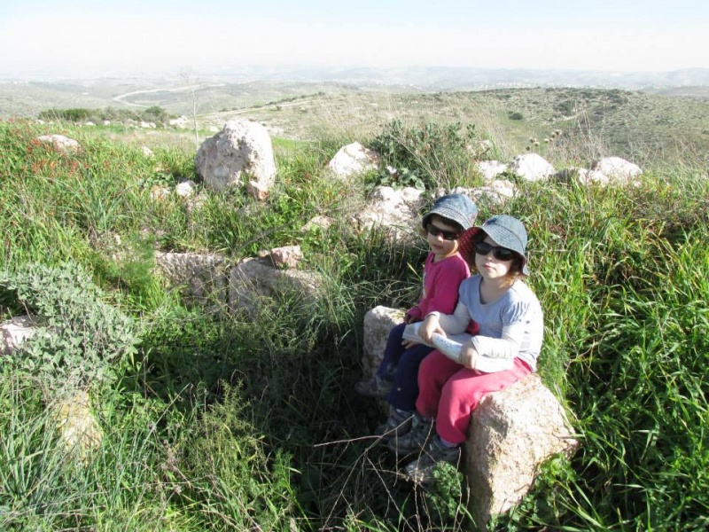 קובץ:ילדותאפסיס.jpg