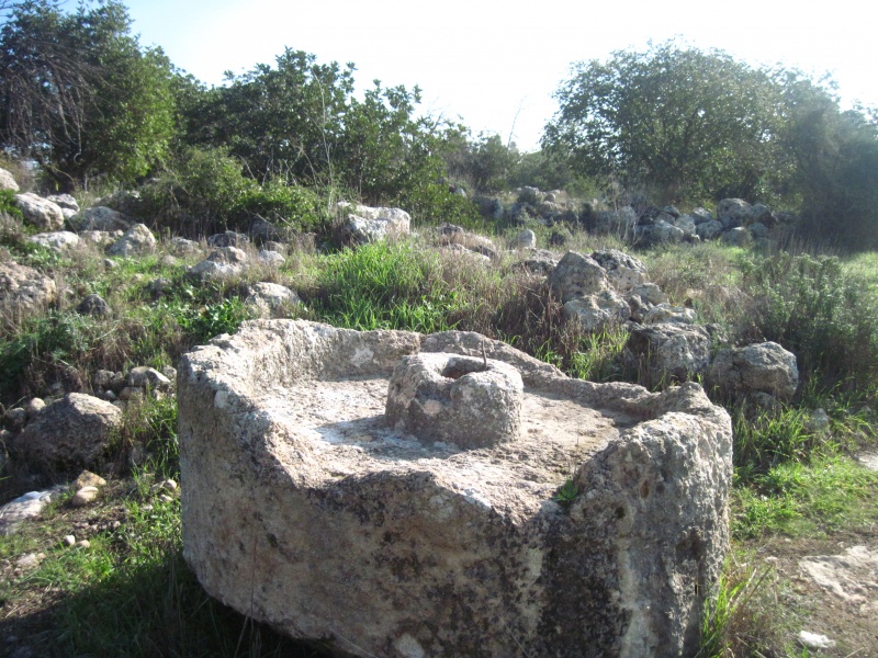 קובץ:יםאביעזר.JPG