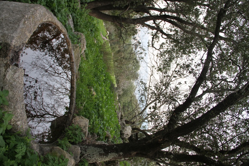 קובץ:ים-סנסן.JPG