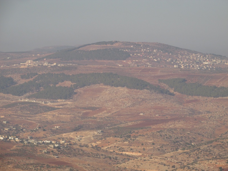 קובץ:יערטובס.JPG