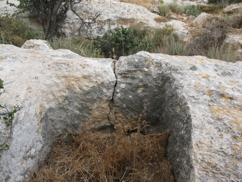 קובץ:יציאה ממשטח הדריכה.jpg