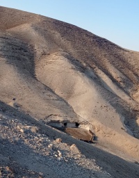 כאן-נולד-פרחאן רכס חממה 30.11.24 מדבר-תקוע ש-2.jpg