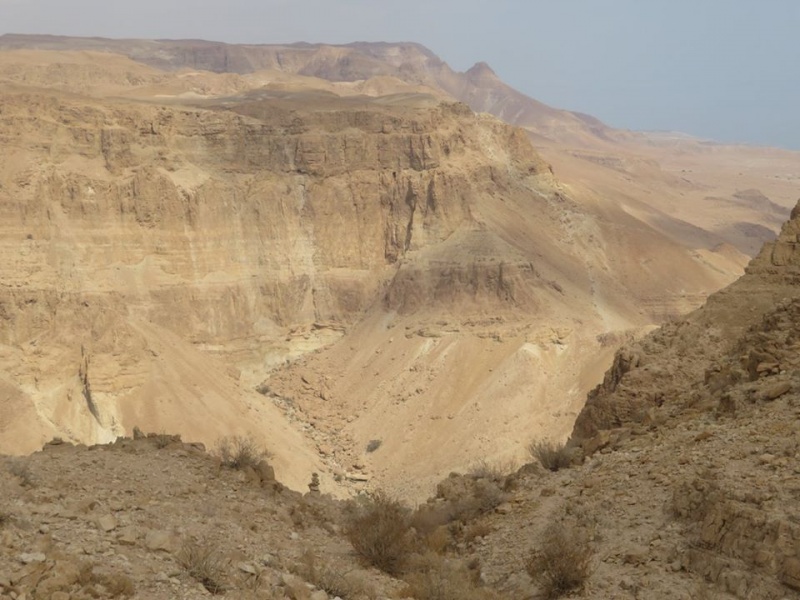 קובץ:כוכיםמעלה.jpg