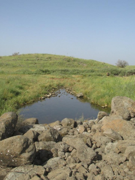 קובץ:כנףעליון.jpg