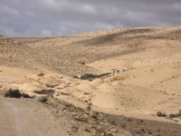 כפריר ב.ק. 15.4.25 ראש נ.יתר מצודת-חמת ש-1.jpg