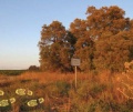 תמונה ממוזערת לגרסה מתאריך 08:28, 15 בספטמבר 2013