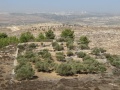 תמונה ממוזערת לגרסה מתאריך 11:57, 14 באוקטובר 2016