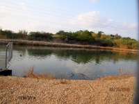 לאורך אמת המים של עכו 009 (Medium).jpg