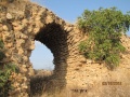 תמונה ממוזערת לגרסה מתאריך 10:51, 4 באוקטובר 2012
