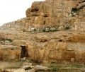 תמונה ממוזערת לגרסה מתאריך 19:42, 12 במרץ 2011