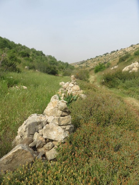 קובץ:לחףאלחספה.jpg